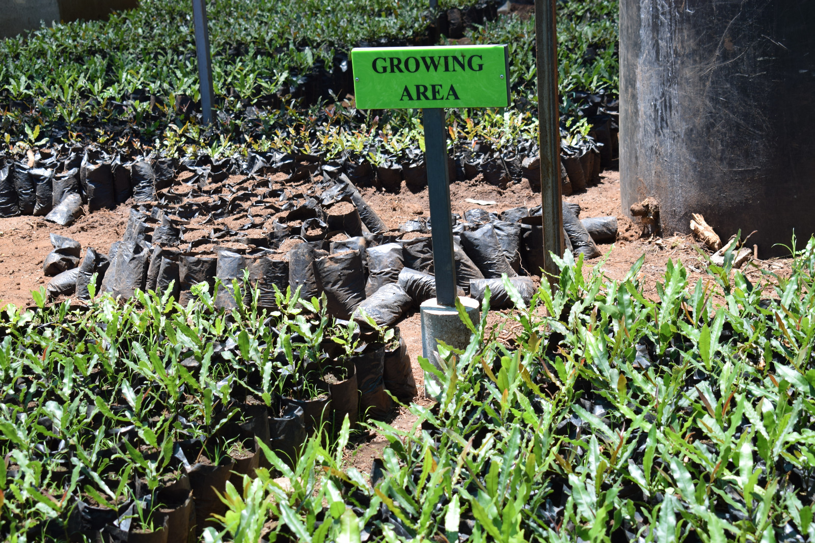 Nursery image